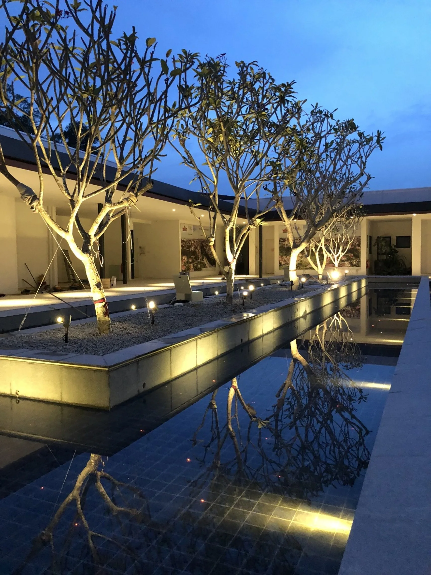 Lit trees in gravel planters beside a reflecting pool at dusk at W City Gallery